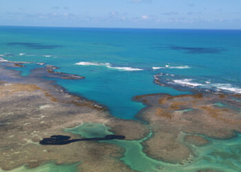 Imagen de archivo de una vista general de un derrame de petróleo en la playa Peroba en Maragogi, estado de Alagoas, Brasil. 17 de octubre, 2019. REUTERS/Diego Nigro/Archivo