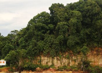 AMAZONAS STATE, BRAZIL - NOVEMBER 27:  Amazon rainforest trees stand above a lone settlement as seen from a transport riverboat (NOT PICTURED) in the Brazilian Amazon from Maues to Manaus on November 27, 2013 in Amazonas State, Brazil. The approximately 20-hour journey in the riverboat costs about $25 USD and includes three meals while most passengers sleep in their own hammocks, usual for Amazon riverboat travel. Riverboats ferry people and cargo throughout the Amazon and often serve as the primary form of mass transportation. Manaus' Arena Amazonia will be a stadium venue during the forthcoming FIFA 2014 World Cup Brazil. Manaus is the largest city in the Amazon holding around 2 million and is the main hub for transport in the Upper Amazon basin.  (Photo by Mario Tama/Getty Images)