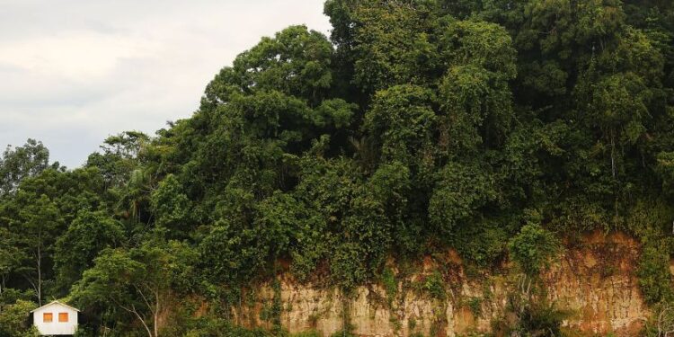 AMAZONAS STATE, BRAZIL - NOVEMBER 27:  Amazon rainforest trees stand above a lone settlement as seen from a transport riverboat (NOT PICTURED) in the Brazilian Amazon from Maues to Manaus on November 27, 2013 in Amazonas State, Brazil. The approximately 20-hour journey in the riverboat costs about $25 USD and includes three meals while most passengers sleep in their own hammocks, usual for Amazon riverboat travel. Riverboats ferry people and cargo throughout the Amazon and often serve as the primary form of mass transportation. Manaus' Arena Amazonia will be a stadium venue during the forthcoming FIFA 2014 World Cup Brazil. Manaus is the largest city in the Amazon holding around 2 million and is the main hub for transport in the Upper Amazon basin.  (Photo by Mario Tama/Getty Images)