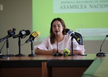 Diputada de la AN Karin Salanova. Foto Prensa presidencial.