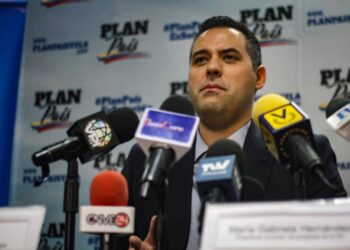 Yon Goicoechea, coordinador técnico del área de Energía de Plan País. Fotp Prensa presidencial