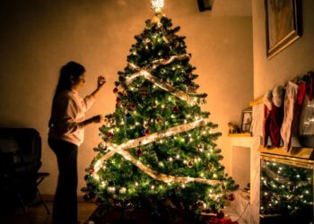 Árbol de navidad. Foto de archivo.