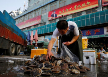 Foto de archivo. Un comerciante escoge almejas en un mercado de productos marinos en Pekín.. 27 de junio de 2018.  REUTERS/Thomas Peter