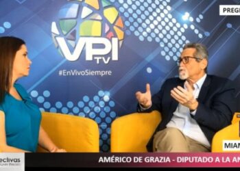 Diputado Américo de Grazia. Foto captuta de video VPITV.