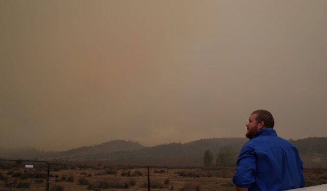 Local resident Peter Lawlis monitors an approaching bushfire at his property in Bredbo, New South Wales, Australia, February 1, 2020.  REUTERS/Loren Elliott