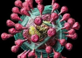 Coronavirus bajo el microscópio. Foto agencias.