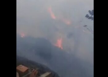 Incendio forestal Colonia Tovar. 7Mar2020. Foto captura de video.