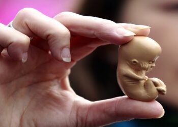 A pro-life campaigner holds up a model of a 12-week-old embryo during a  protest outside the Marie Stopes clinic in Belfast October 18, 2012. The first private clinic offering abortions opened in Northern Ireland on Thursday, making access to abortion much easier for women in both Northern Ireland and the Republic of Ireland.    REUTERS/Cathal McNaughton   (NORTHERN IRELAND - Tags: HEALTH SOCIETY RELIGION)