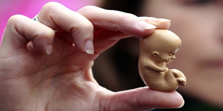 A pro-life campaigner holds up a model of a 12-week-old embryo during a  protest outside the Marie Stopes clinic in Belfast October 18, 2012. The first private clinic offering abortions opened in Northern Ireland on Thursday, making access to abortion much easier for women in both Northern Ireland and the Republic of Ireland.    REUTERS/Cathal McNaughton   (NORTHERN IRELAND - Tags: HEALTH SOCIETY RELIGION)