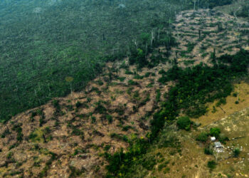 Aerial view of burnt areas of the Amazon rainforest, near Boca do Acre, Amazonas state, Brazil, in the Amazon basin, on August 24, 2019. - President Jair Bolsonaro authorized Friday the deployment of Brazil's armed forces to help combat fires raging in the Amazon rainforest, as a growing global outcry over the blazes sparks protests and threatens a huge trade deal. (Photo by Lula SAMPAIO / AFP)