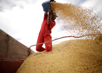 FOTO DE ARCHIVO: Un trabajador inspecciona la soja durante la cosecha cerca de la ciudad de Campos Lindos, Brasil 18 de febrero de 2018. Foto tomada el 18 de febrero de 2018.  REUTERS/Ueslei Marcelino/Archivo Foto