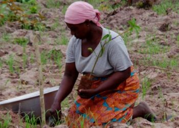 Mujer rural. Foto de achivo.