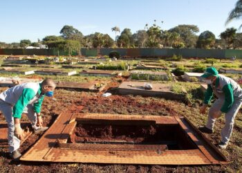 Un empleado prepara una tumba para el entierro de una víctima del Covid-19 en el cementerio de Campo da Esperança, en Brasilia (Brasil). EFE/Joédson Alves/Archivo