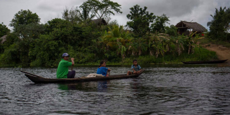 ACOMPAÑA CRÓNICA: VENEZUELA ETNIAS. VEN05. MATURÍN (VENEZUELA), 01/06/2018.- Fotografía fechada el 10 de mayo de 2018 que muestra a una familia Warao a bordo de una curiara (pequeña embarcación) mientras navegan por el río Morichal, en Maturín (Venezuela). Unos 120 indígenas distribuidos en cerca de 30 palafitos de precaria elaboración conforman la comunidad de Morichal Largo, un asentamiento de la etnia Warao ubicado en el sur de Venezuela, que resiste debajo de un puente la miseria e insalubridad propia de la crisis nacional. EFE/Cristian Hernández
