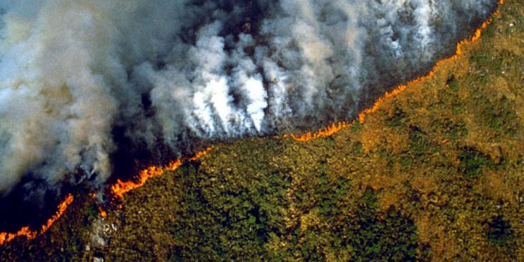 Incendios Amazonas. Foto de archivo.