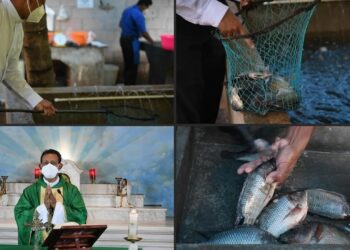 Sacerdote cultiva tilapias para sortear crisis por pandemia en El Salvador. Foto captura de video AFP.