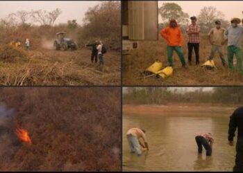 Presos ayudan a combatir incendios en el Pantanal brasileño. Foto captura de video AFP.