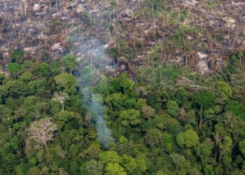 PORTO VELHO, RONDONIA, BRAZIL - AUGUST 25:  In this aerial image, a section of the Amazon rain forest that has been decimated by wildfires is seen on August 25, 2019 in the Candeias do Jamari region near Porto Velho, Brazil. According to INPE, Brazil's National Institute of Space Research, the number of fires detected by satellite in the Amazon region this month is the highest since 2010.  (Photo by Victor Moriyama/Getty Images)
