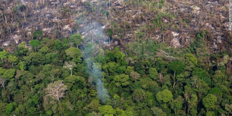 PORTO VELHO, RONDONIA, BRAZIL - AUGUST 25:  In this aerial image, a section of the Amazon rain forest that has been decimated by wildfires is seen on August 25, 2019 in the Candeias do Jamari region near Porto Velho, Brazil. According to INPE, Brazil's National Institute of Space Research, the number of fires detected by satellite in the Amazon region this month is the highest since 2010.  (Photo by Victor Moriyama/Getty Images)