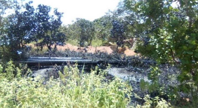 El derrame afectó los potreros de la finca El Manantial y se extendió hacia la vegentación. Foto cortesía: Marvin González