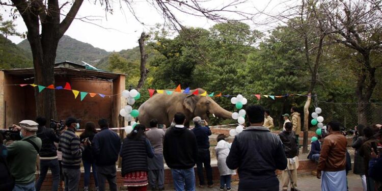 Kaavan. Foto EFE