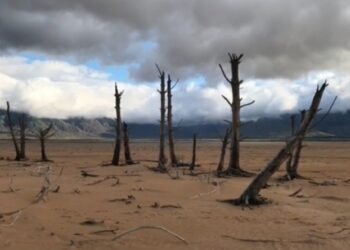 Crisis climática. Foto captura de video EFE.