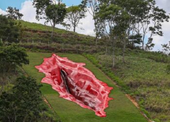 Brasil, escultura, vulva. Foto AGENCIAS.