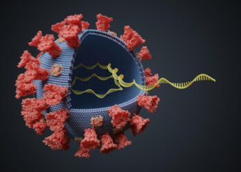 Nueva cepa coronavirus. Imágen referencial.