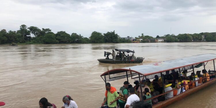 Desplazados, venezolanos conflicto armado. refugio Colombia. Foto @TomasGuanipa.