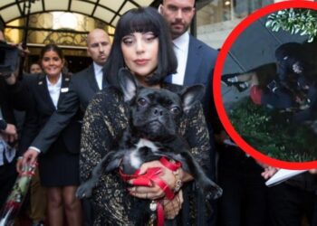 Lady Gaga, mascotas. Foto de archivo.