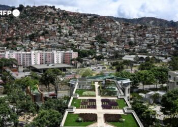 El techo verde de la Universidad Católica Andrés Bello (UCAB) en Caracas, el 23 de junio© AFP Yuri CORTEZ.