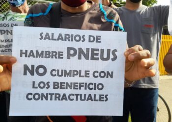 Trabajadores PNEUS