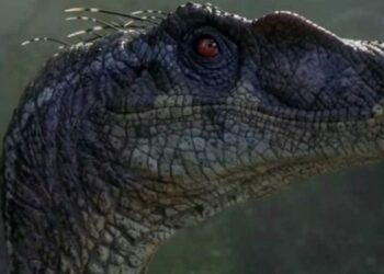 Velociraptor. Foto captura de video.