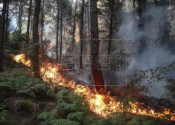 Incendios Turquía. Foto EFE.