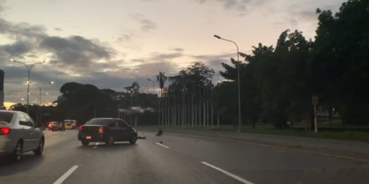 Autopista Francisco Fajardo. Foto captura de video.