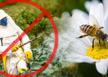 Pesticidas. Foto de archivo.