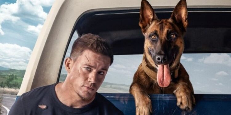 DOG. Channing Tatum. Foto de archivo.