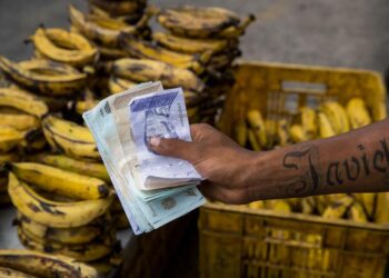 El bolívar, Vzla. Foto EFE MIGUEL GUTIÉRREZ