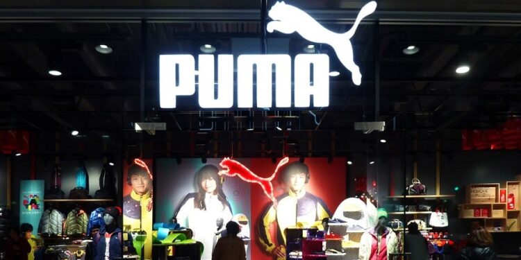 Puma. Foto de archivo.