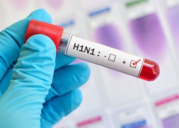 H1N1