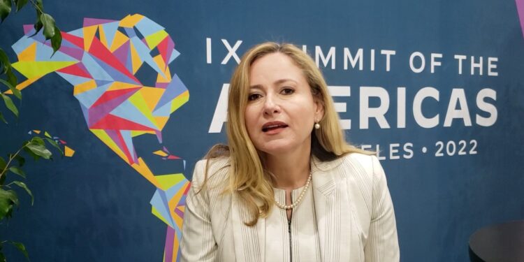 Debbie Mucarsel-Powell, asesora especial de Joe Biden para la Cumbre de las Américas. Foto captura de video.