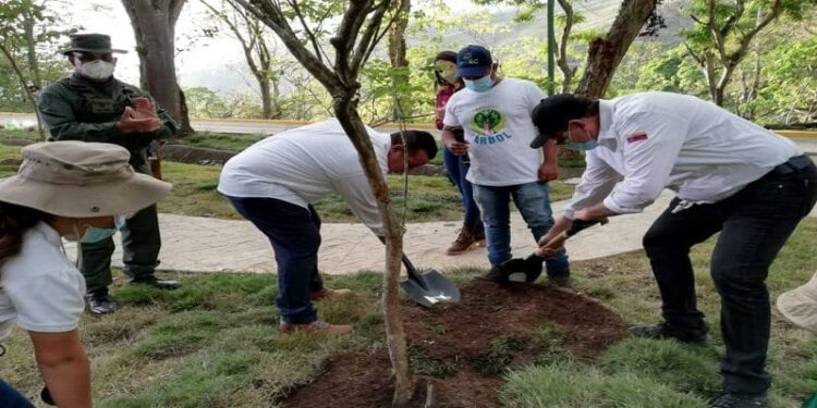 Misión Árbol. Foto VTV.