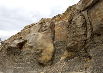 Fossils from a forest with 165 trees inside rocks in Ortigueira City, Paraná State, South of Brazil, on June 15, 2022. The discovery depicts life forms 290 million years old. With roots still fixed in the substrate of the time, the trees preserve their vertical position, which is rare. The finding of the fossils took place during fieldwork in 2018, together with researchers at the University of California. "The discovery was a real surprise, as we were just there to take some samples for chemical analysis and study the rocks in the region", says Brazilian researcher Thammy Ellin Mottin, a doctoral student in geology at the Federal University of Paraná.