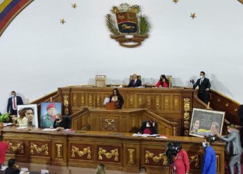 Asamblea de Nicolás Maduro, dpiutada  Thaydé Monzón,. Foto @Asamblea_Ven