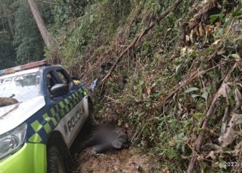 Masacre de Policías en el Huila - Foto: Suministrada a Semana A.P.I