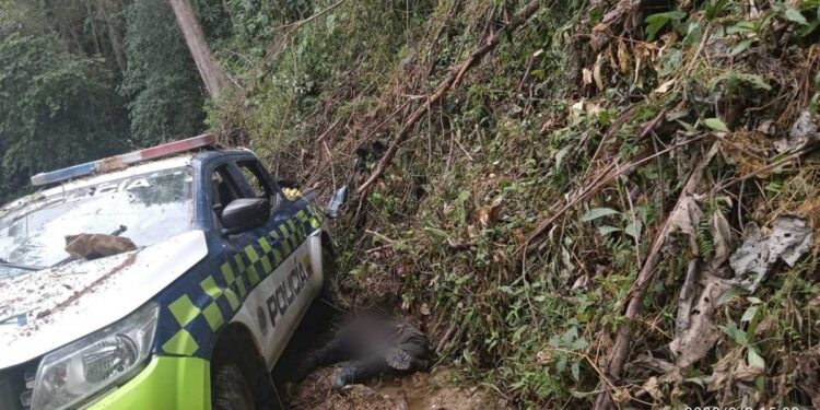 Masacre de Policías en el Huila - Foto: Suministrada a Semana A.P.I