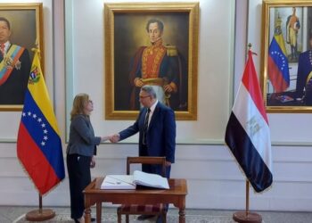 El embajador de la República Árabe de Egipto ante Venezuela, Kareem Essam El-Din Amin. Foto Cancillería