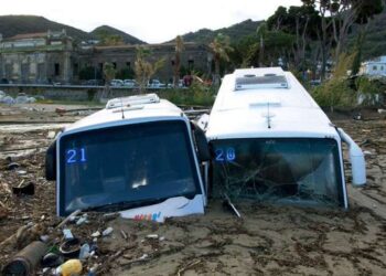 Italia, isla de Ischia . Foro agencias.