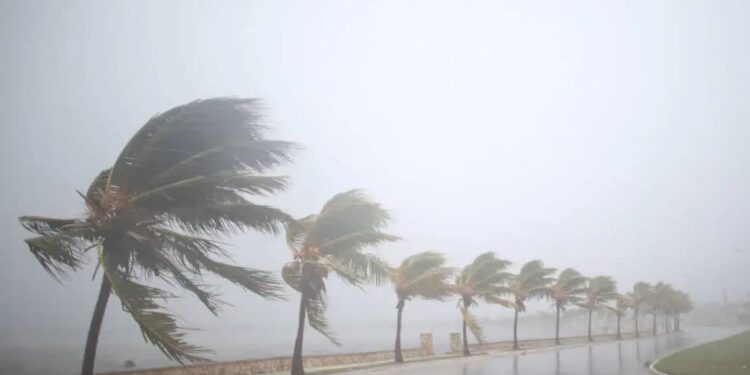 Tormenta Nicole. Foto de archivo.