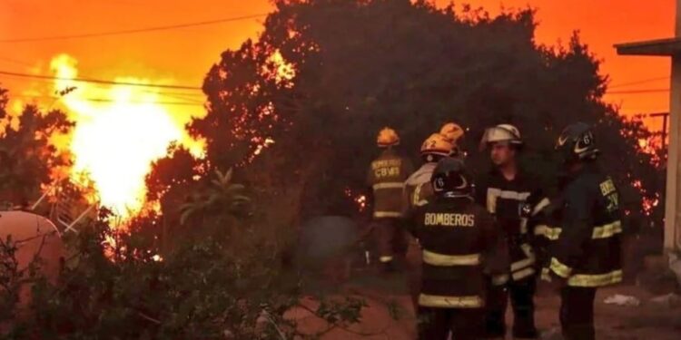 Chile, Viña del Mar, incendio. Foto agencias